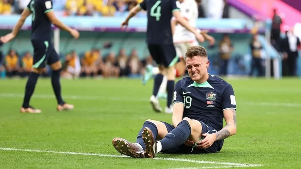 202412302034 main.cropped 1735565671 web